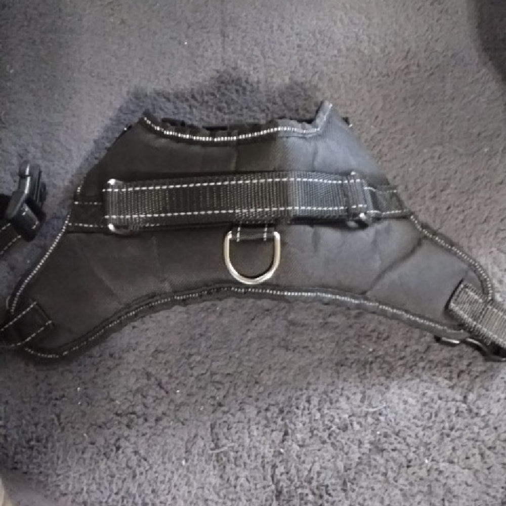 Durable Black Dog Harness